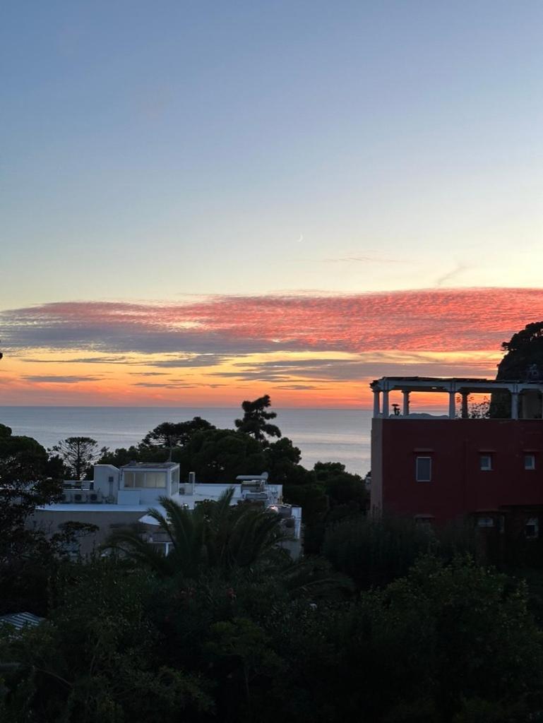 Capri Joy Quarto foto